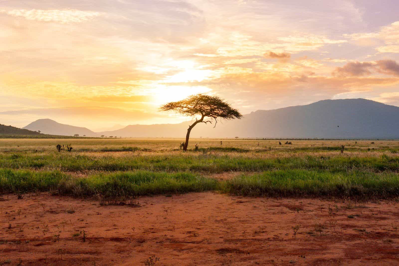 Pacchetti eSIM per Kenya Background