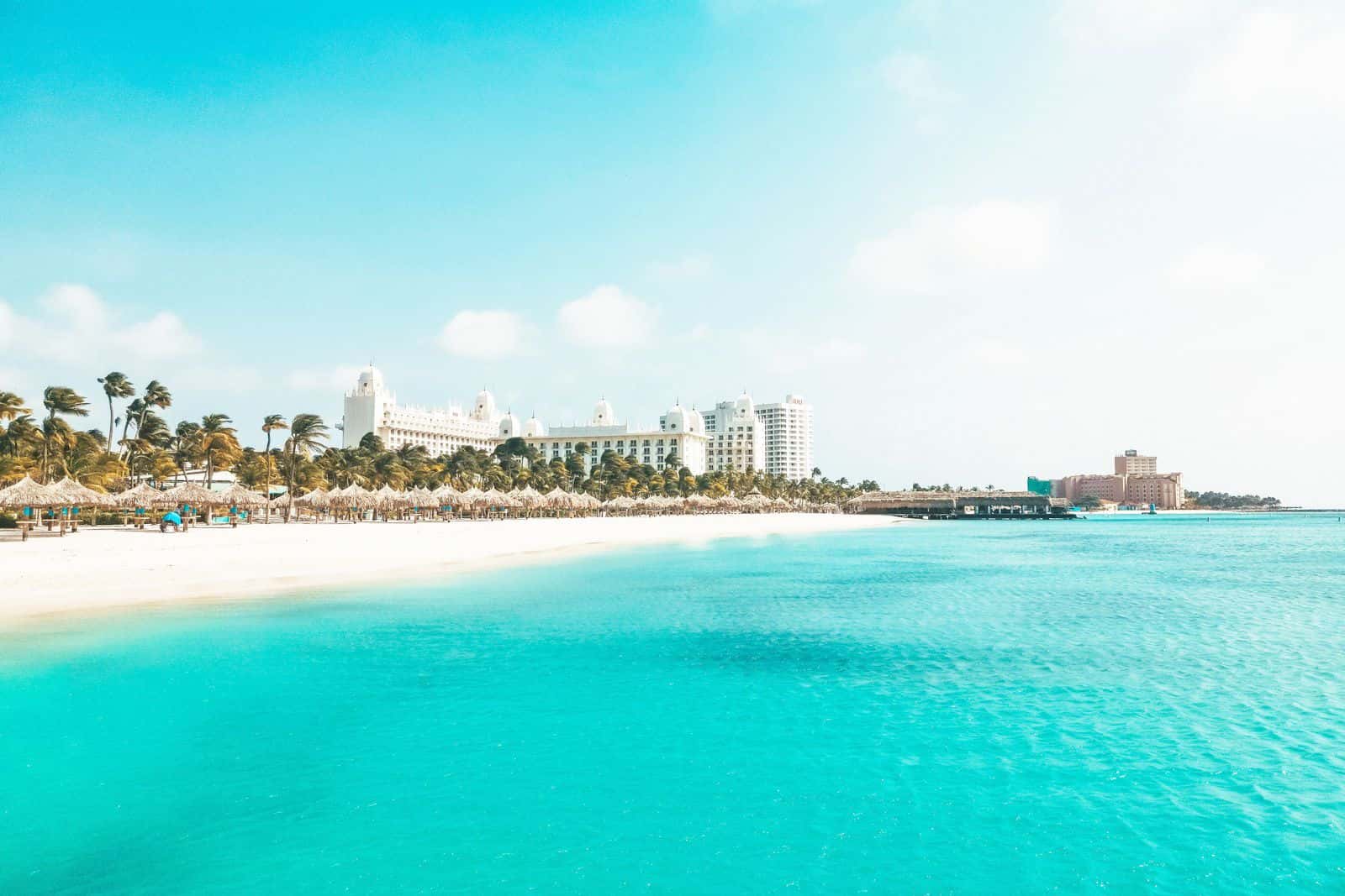 1 GB 데이터, 7일 동안 아루바