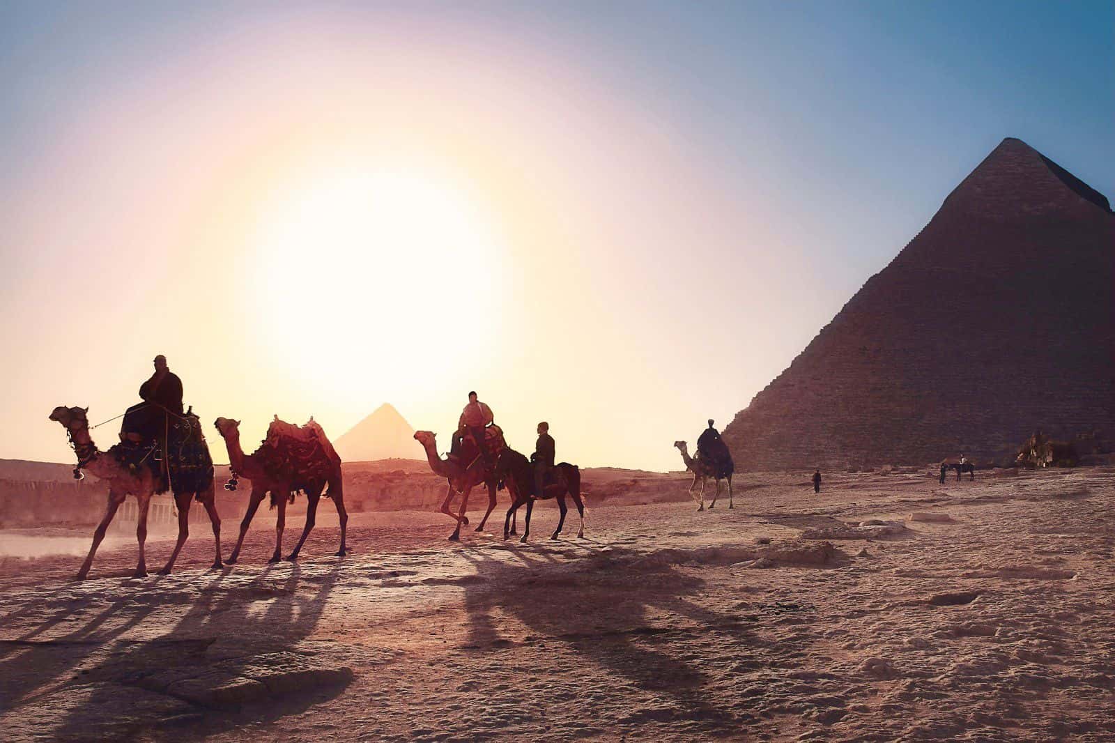 1 GB 데이터, 7일 동안 이집트