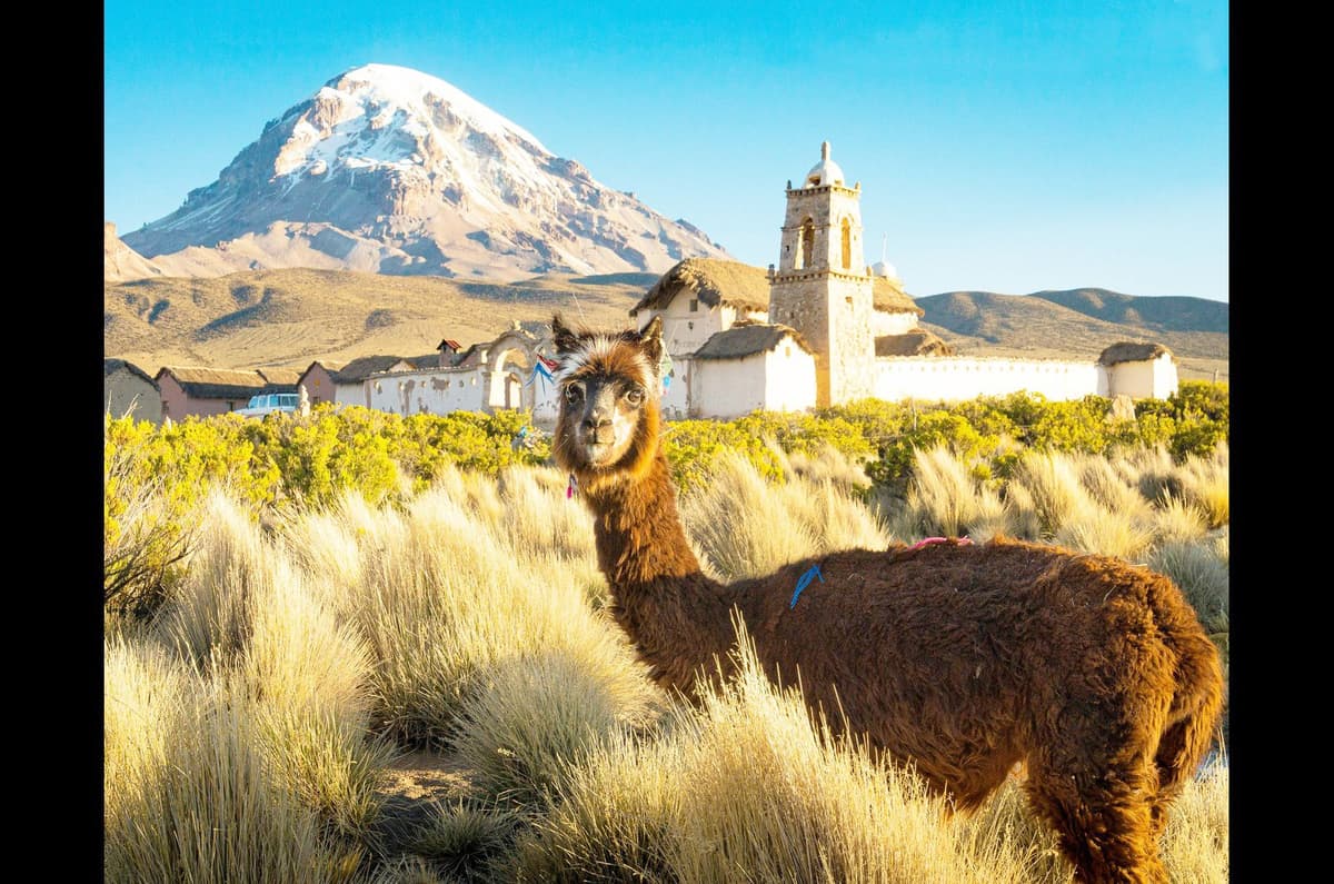 Bolivia Background