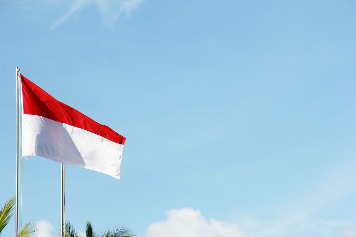 Indonesia Background