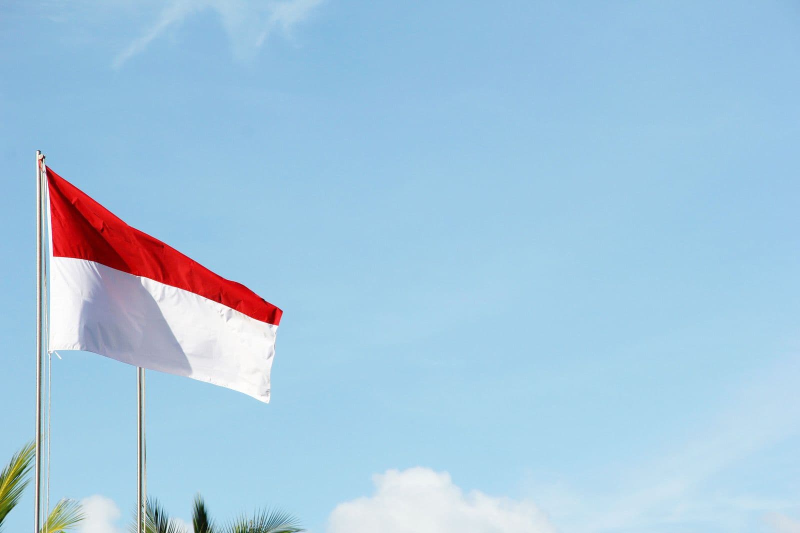 Pacchetti eSIM per Indonesia Background