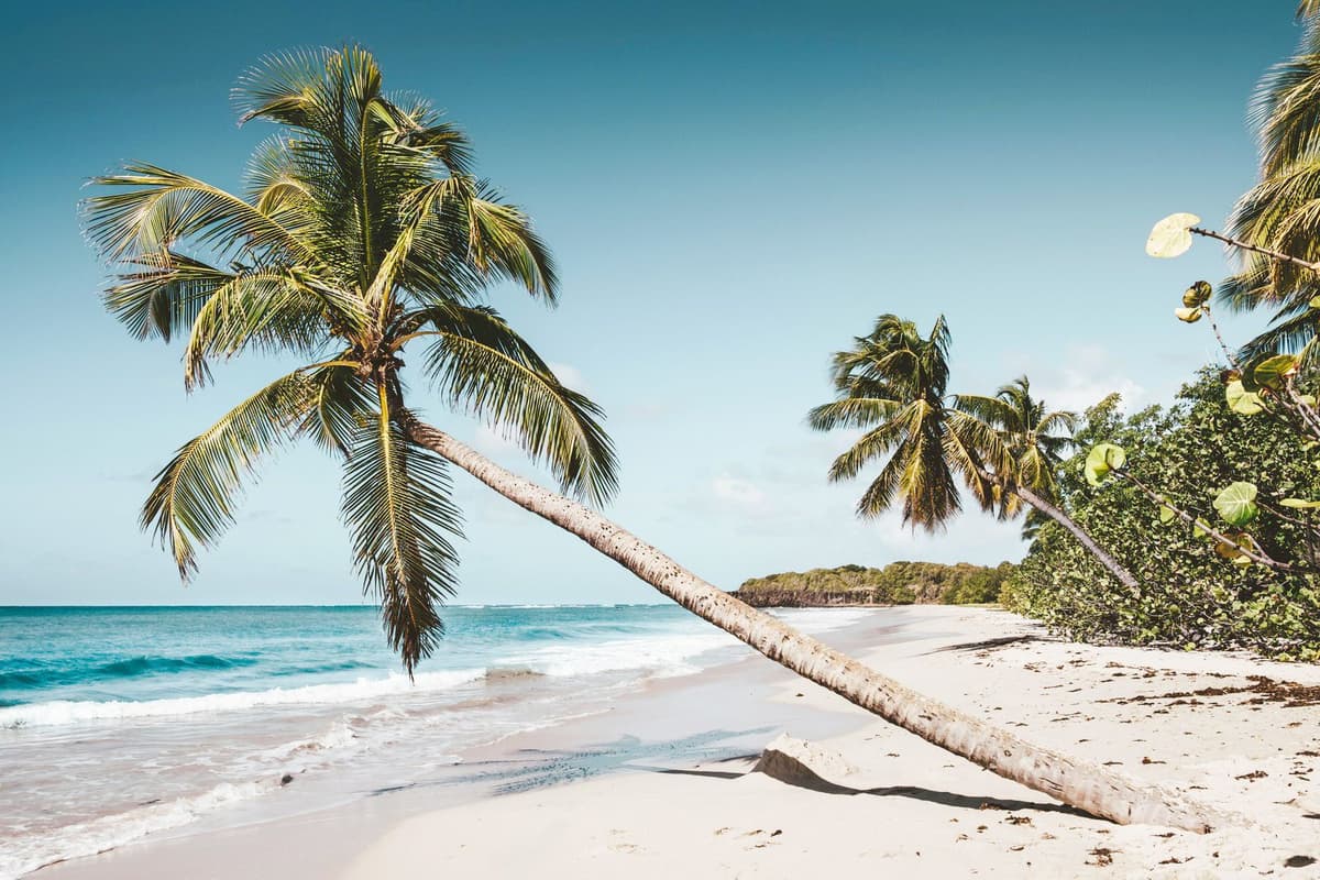 Martinique Background