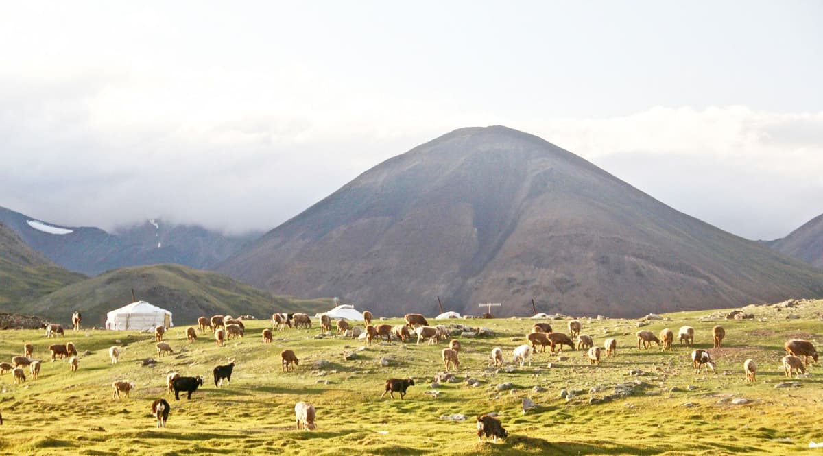 Mongolia Background
