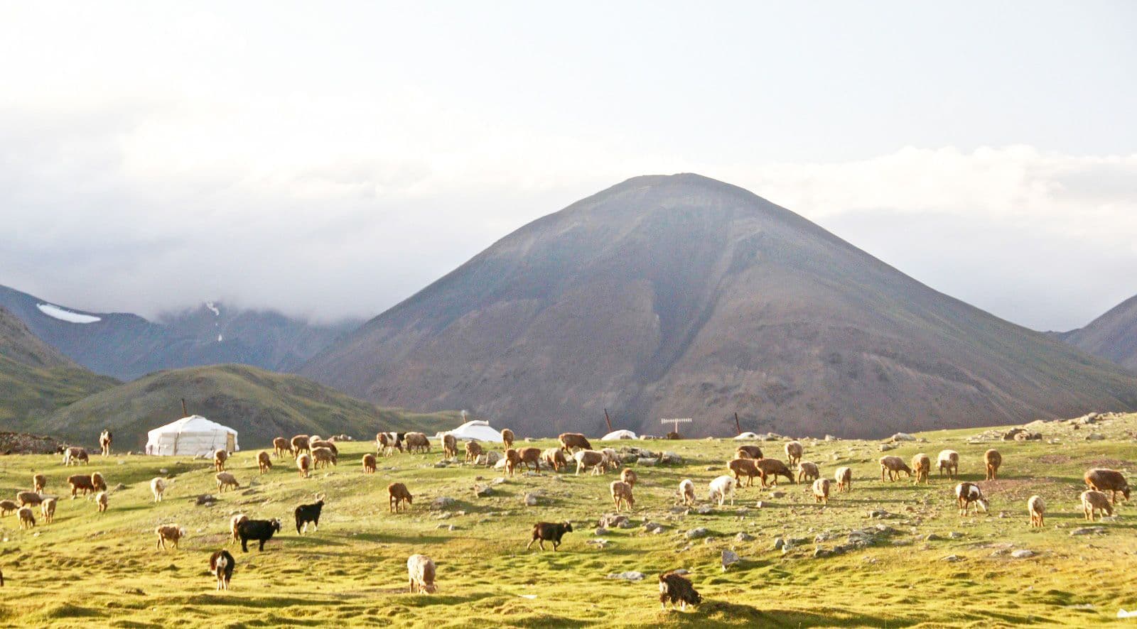 Πακέτα eSIM Μογγολία Background