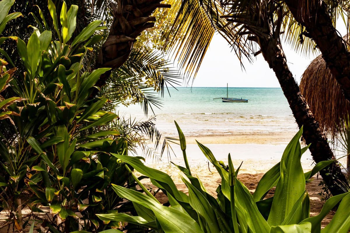 Moçambique Background