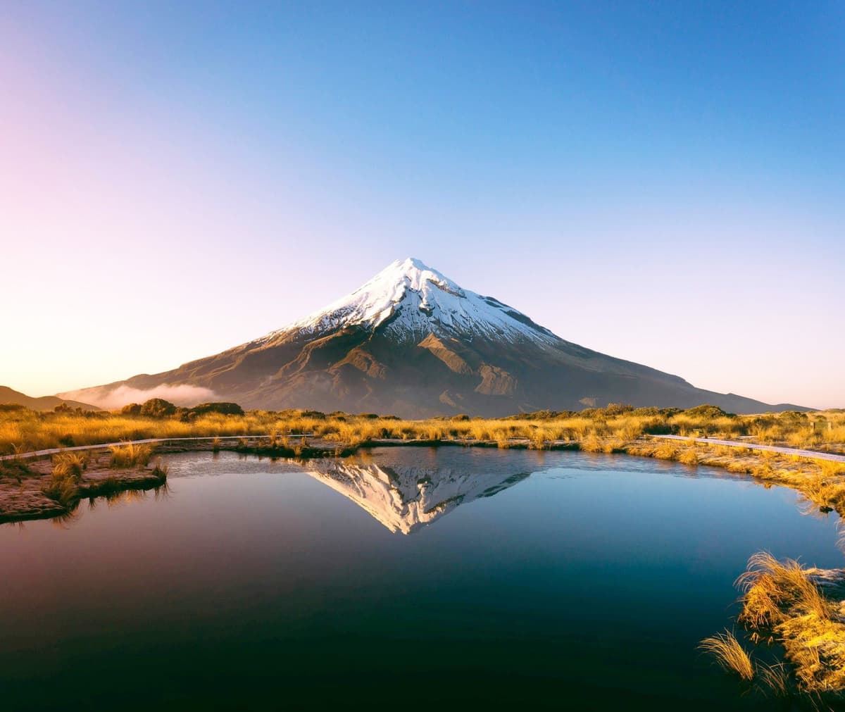 New Zealand Background