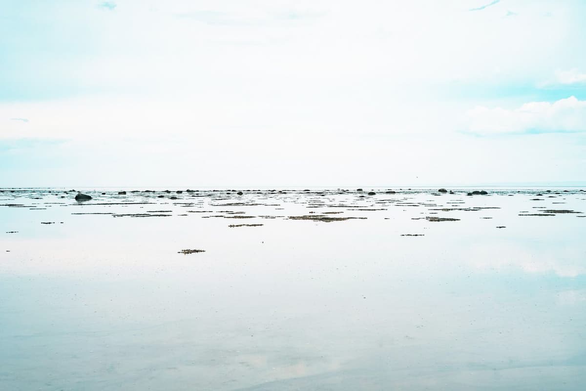Oceania Background