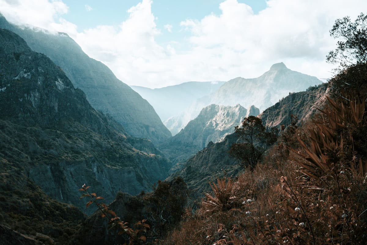 Réunion Background