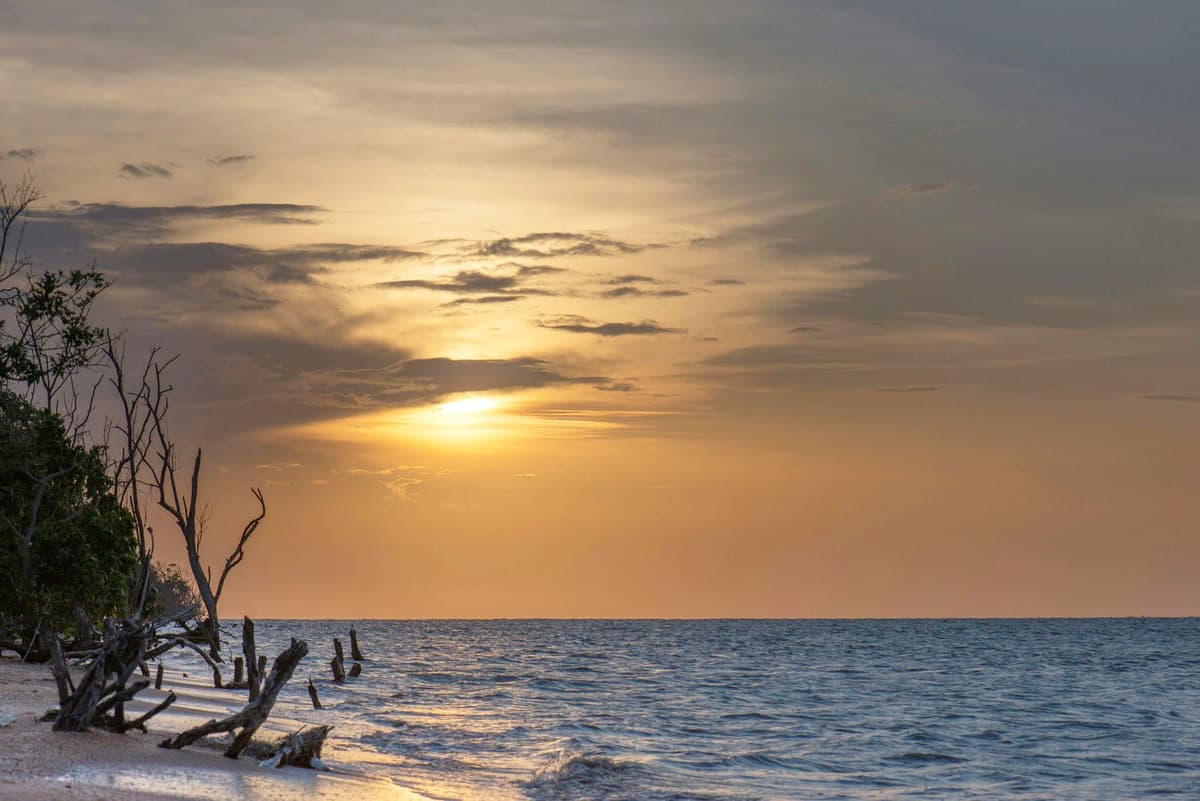 Suriname Background