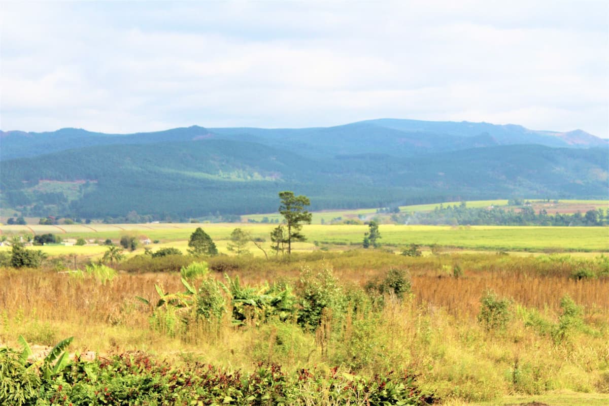Eswatini Background