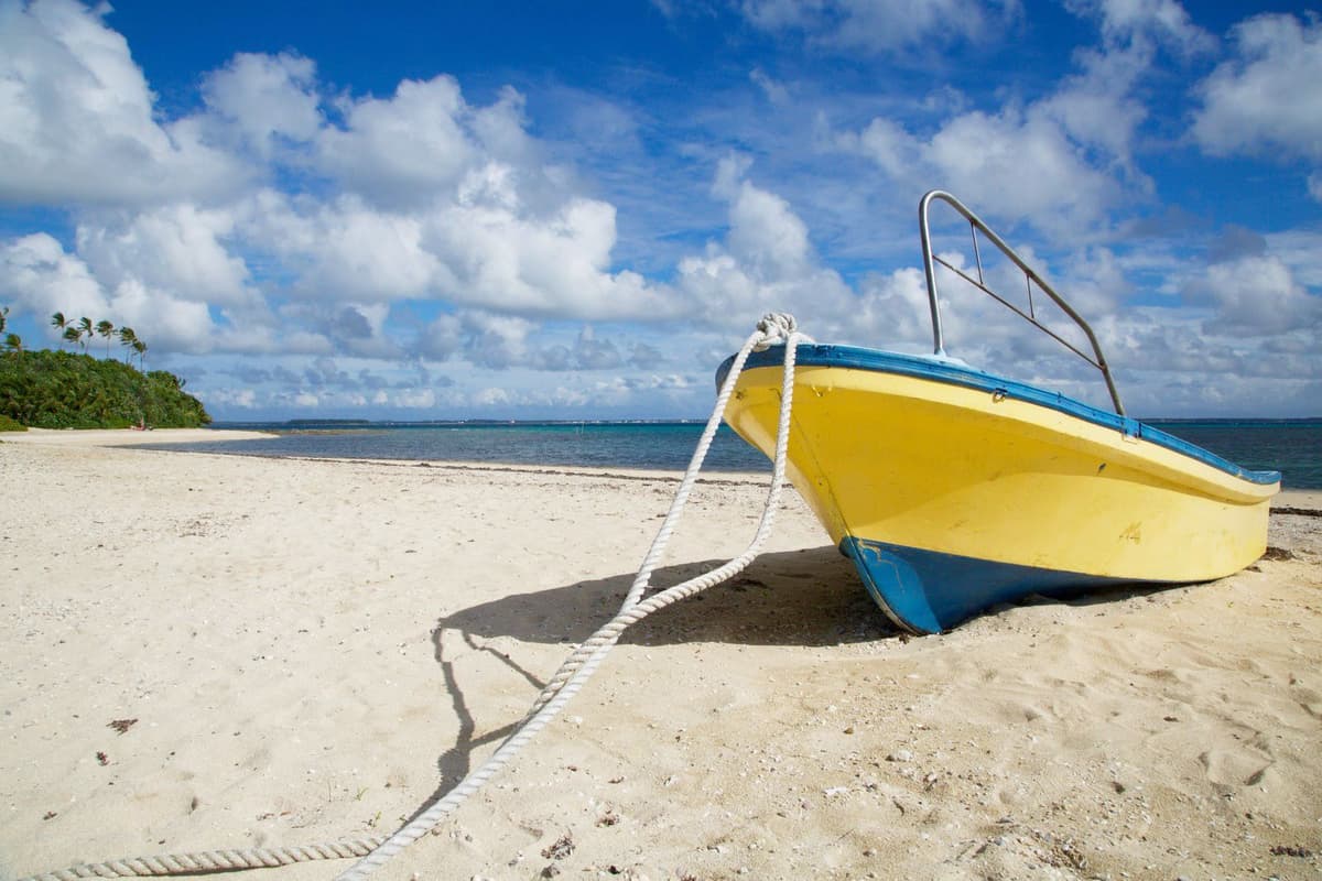 Tonga Background