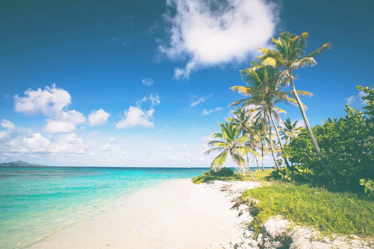 Caribbean Background