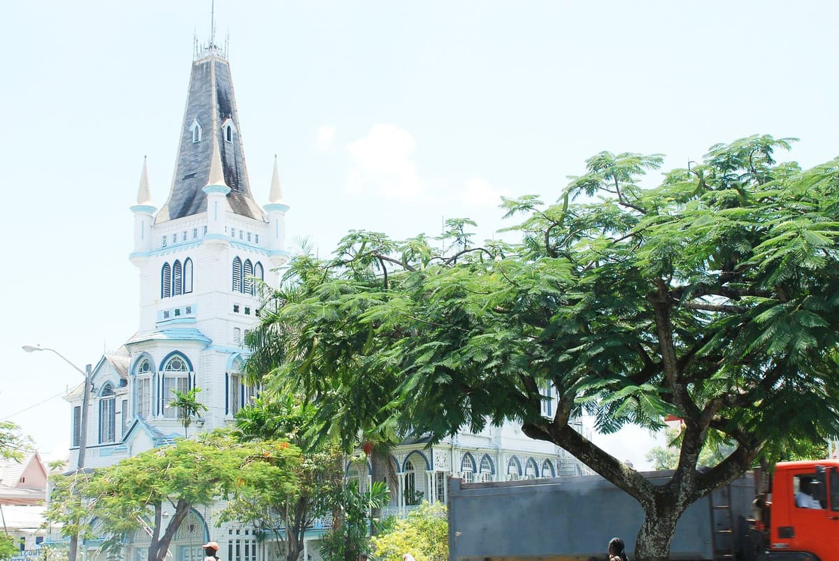 Guyana Background