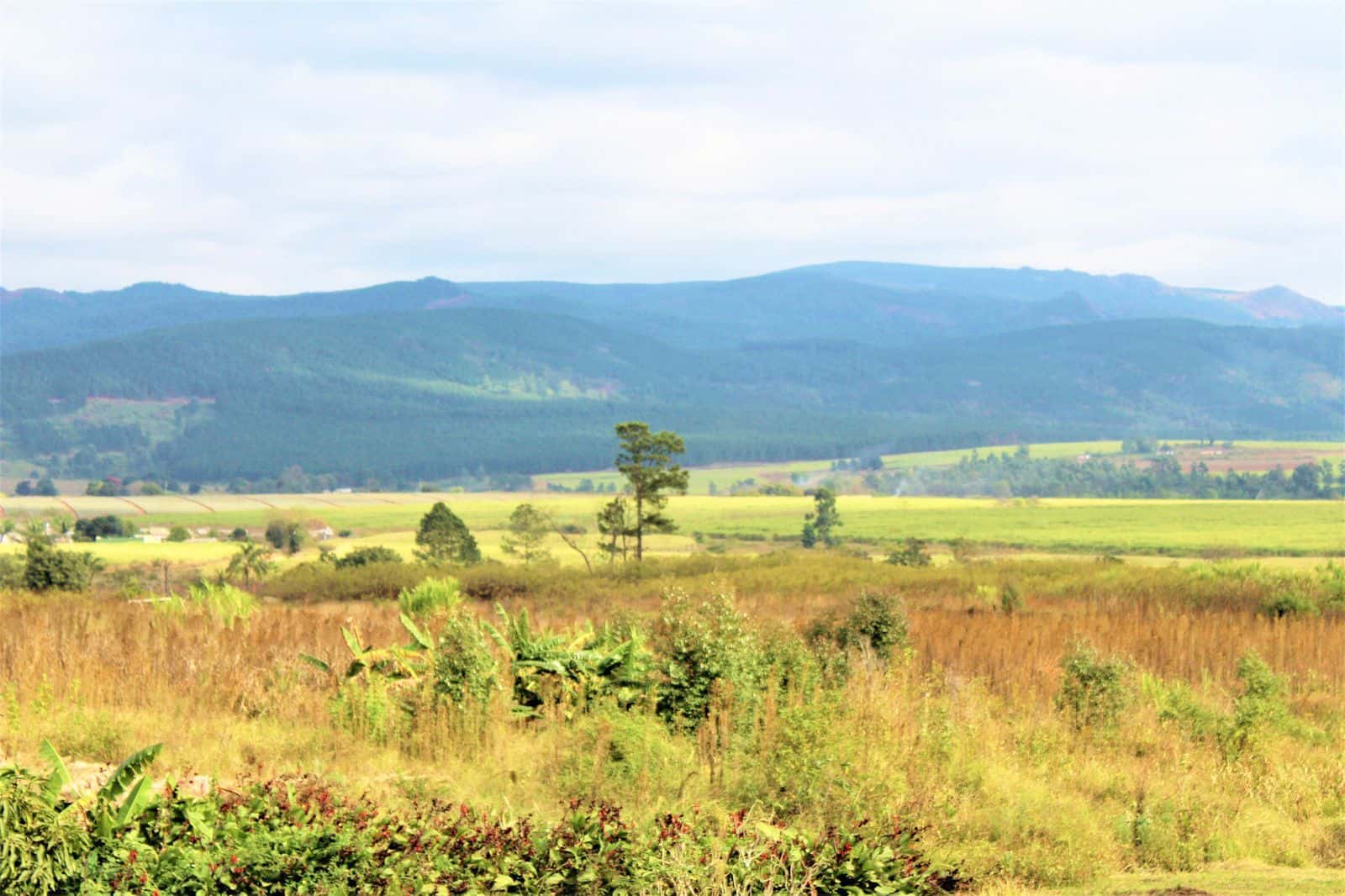 1 GB 데이터, 7일 동안 스와질란드